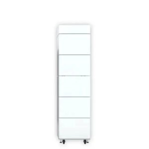 rct power battery 3 8 11 5 9 6 speicher 327 180d952a bde8 4a21 a374 e01a94c0b732 300x300 1.jpg